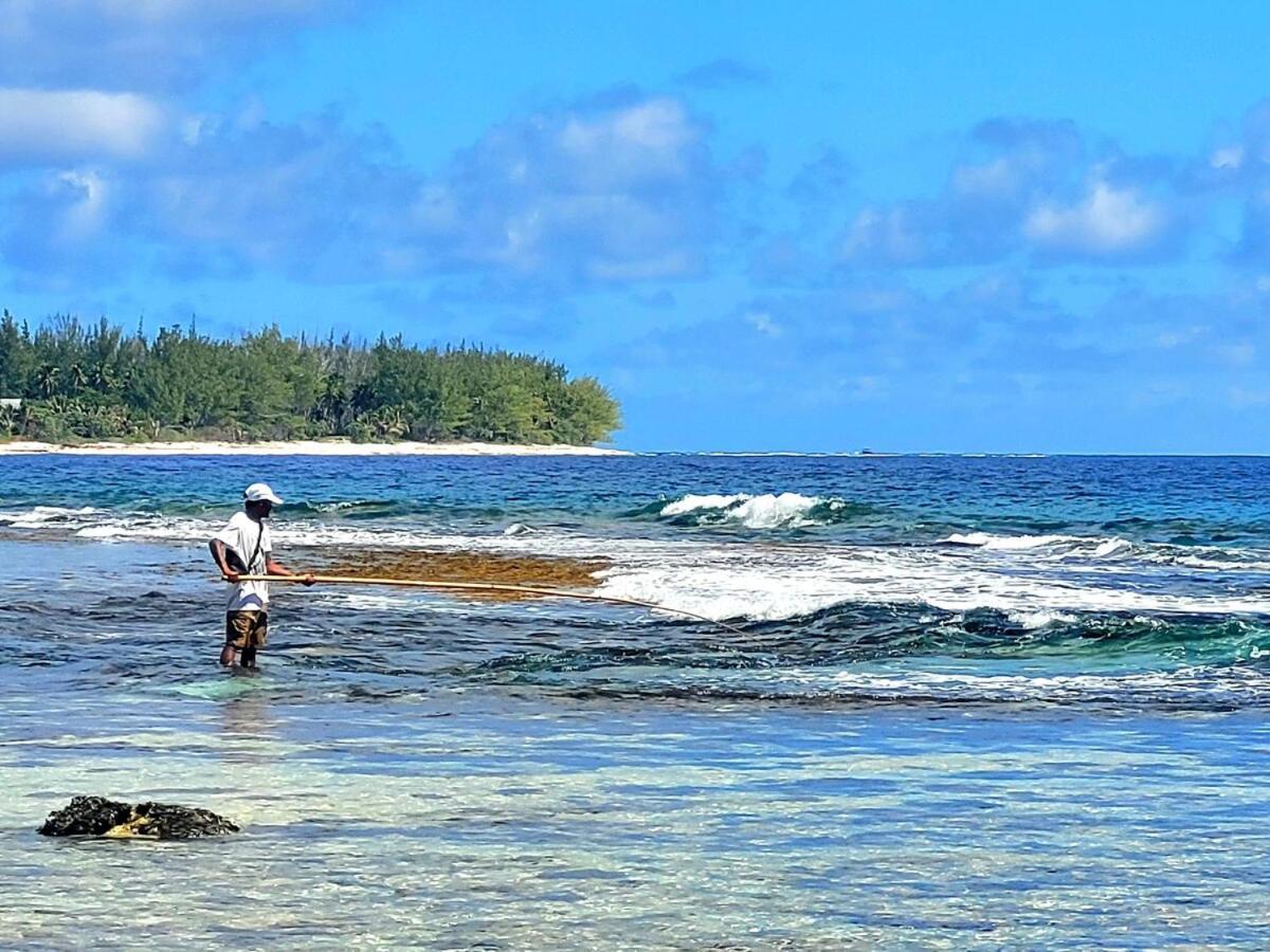 Un Ecrin De Paix Au Soleil Et Proche De La Mer Moorea Exteriér fotografie