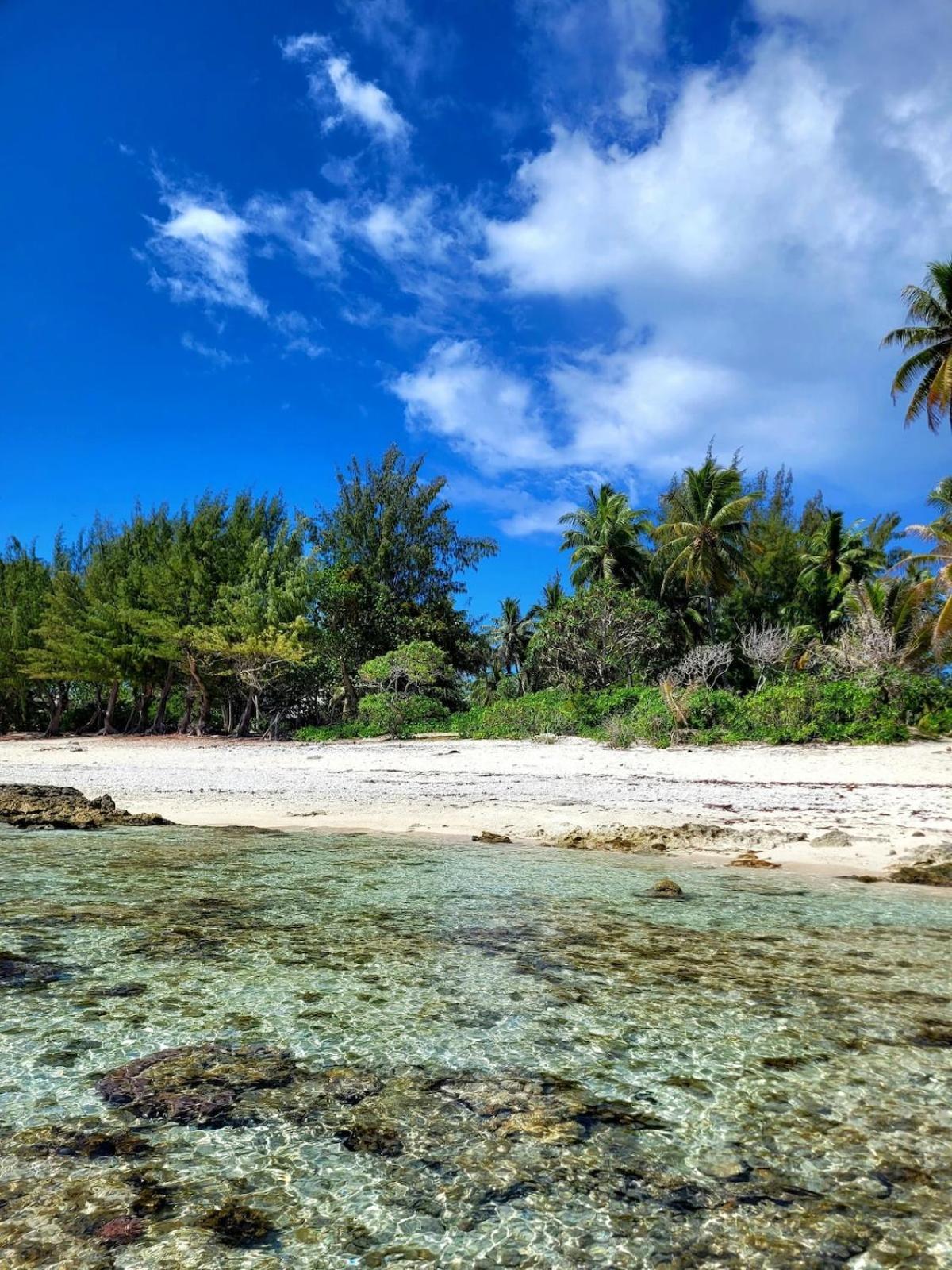 Un Ecrin De Paix Au Soleil Et Proche De La Mer Moorea Exteriér fotografie