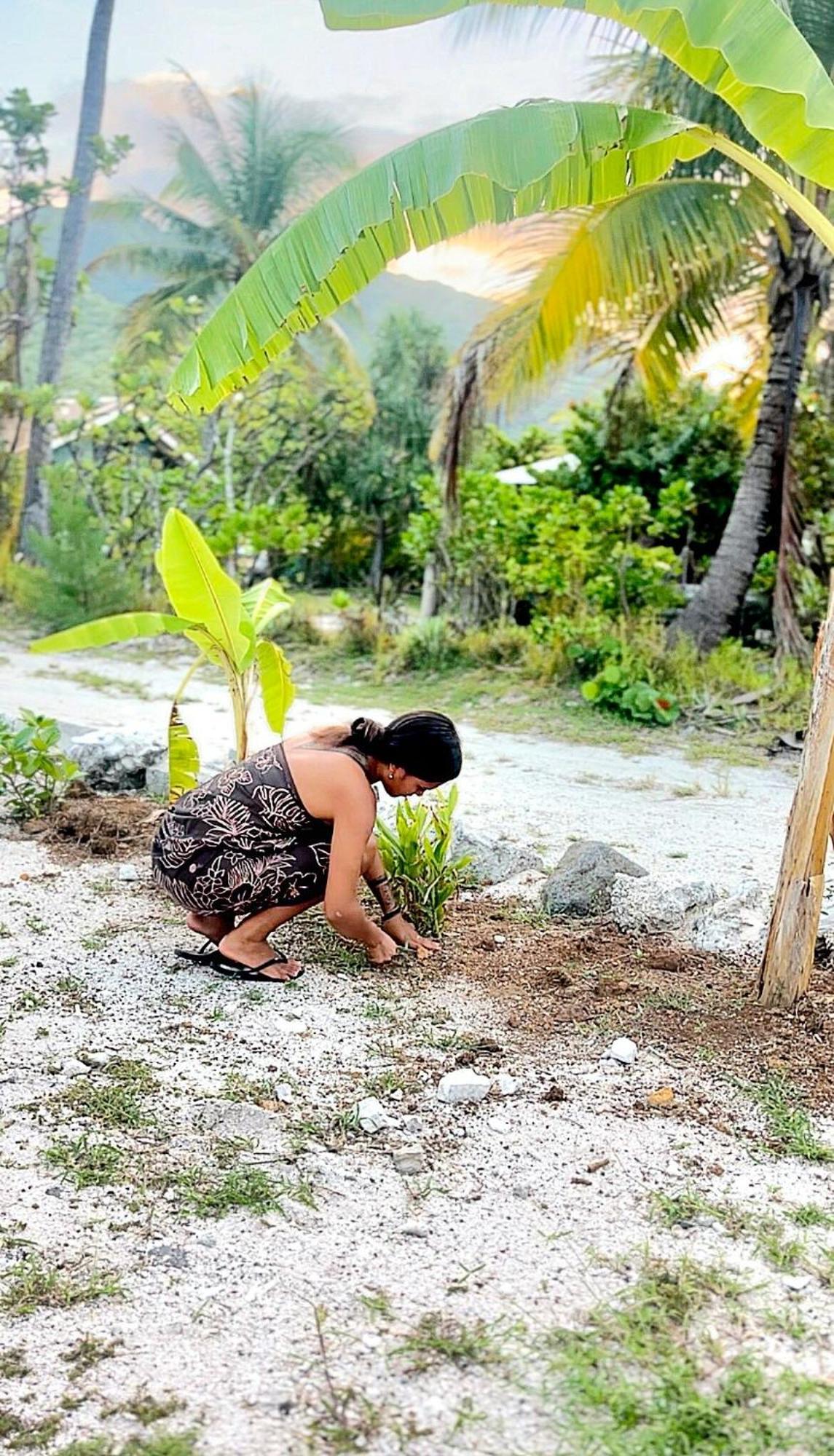 Un Ecrin De Paix Au Soleil Et Proche De La Mer Moorea Exteriér fotografie
